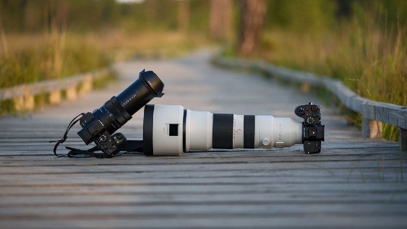 Explorer les merveilles aviaires : un examen comparatif du Sony RX10 V Superzoom et d'un appareil photo sans miroir