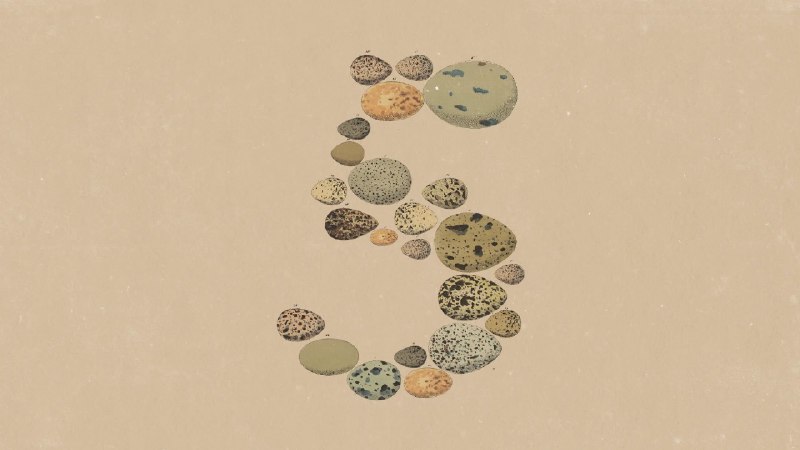 Anthropic's Claude Opus 5: A Competitive Alternative to Fable 5 at Half the Price