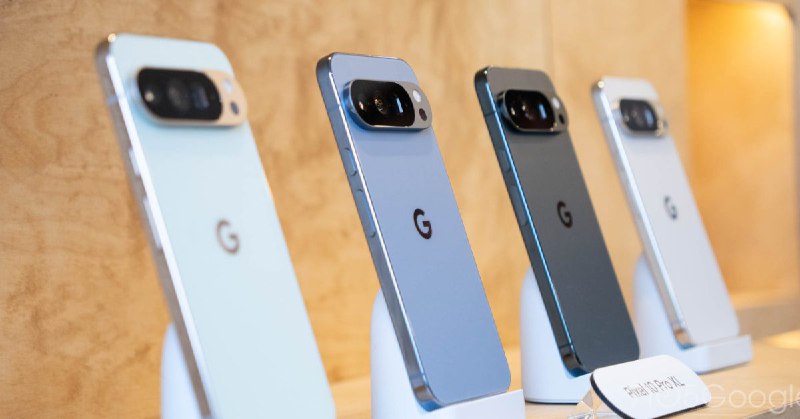유출된 세부 정보를 통해 가격 인상, 128GB 변형 부재 및 Google Pixel 11의 8월 출시가 밝혀졌습니다