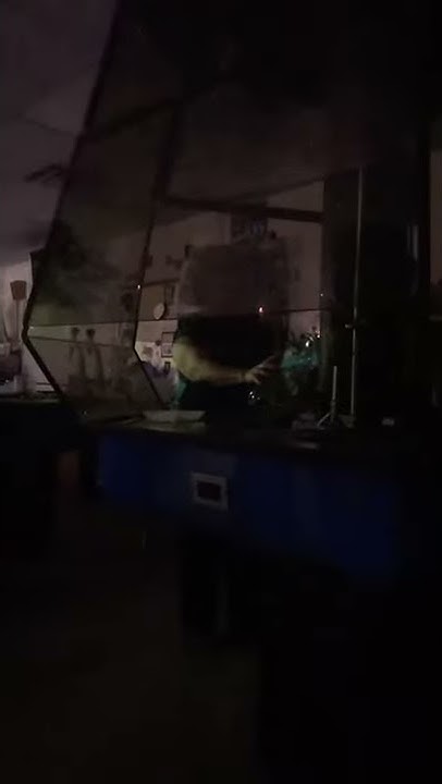 夏普推出配备健康传感器的智能手表和智能戒指