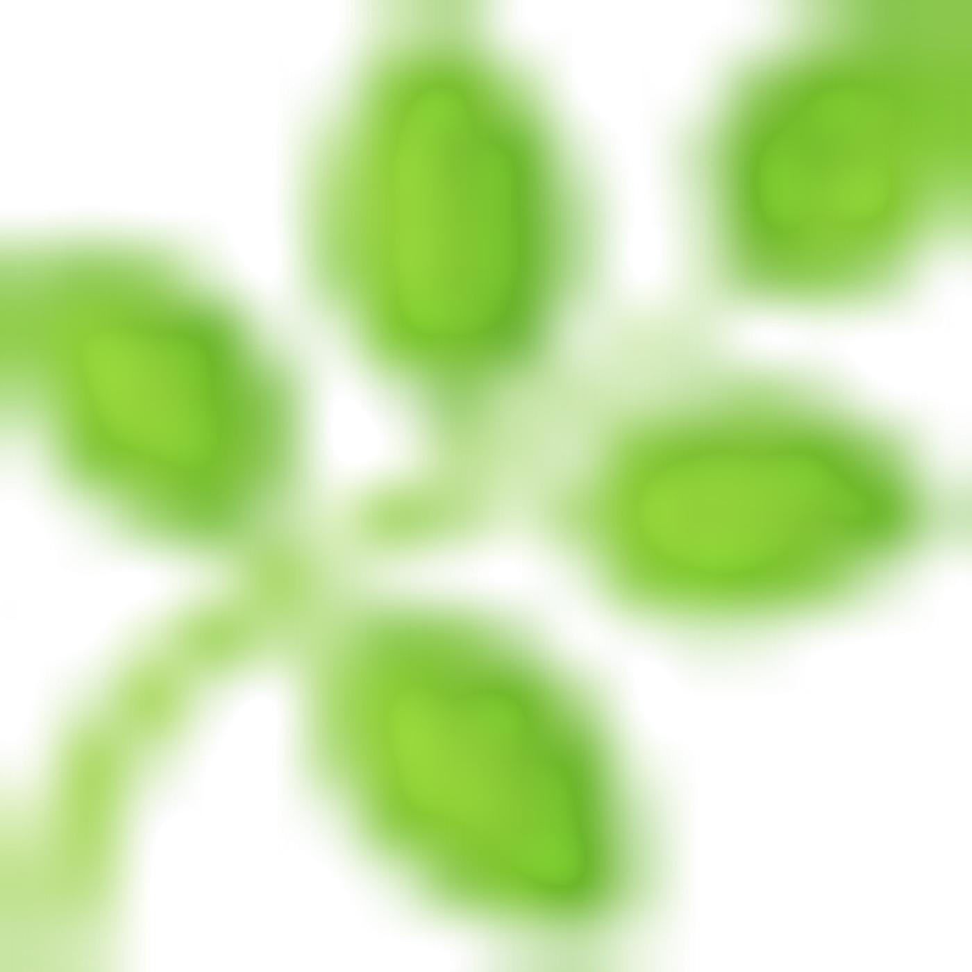 🌿